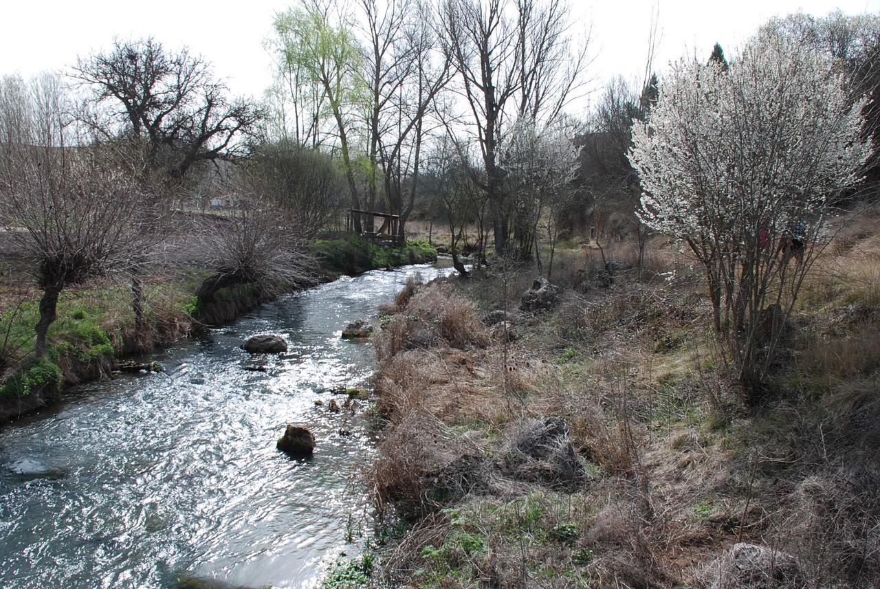 Alojamiento Rural Fuente Cancana Μολίνα ντε Αραγόν Εξωτερικό φωτογραφία